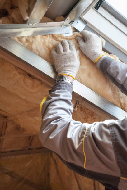 Best Specialized Insulation Services in Oak Island, NC