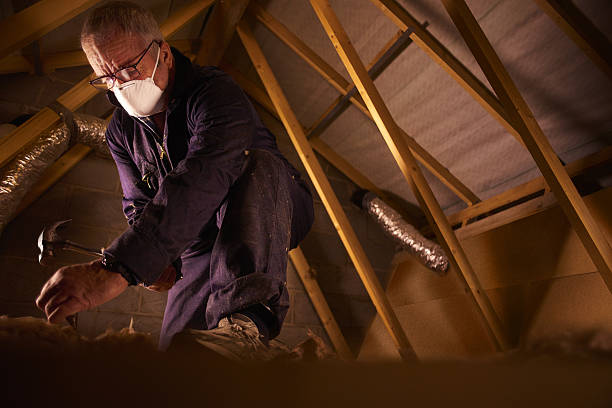 Professional Insulation Contractor in Oak Island, NC