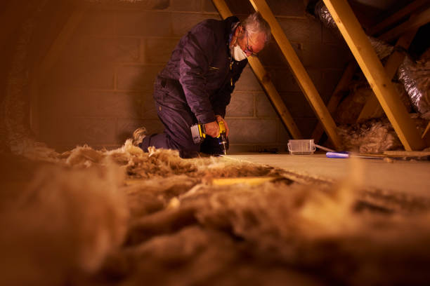 Best Eco-Friendly Insulation in Oak Island, NC